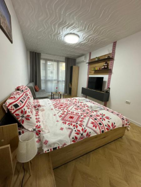 Apartment Studio Shevitsa 2
